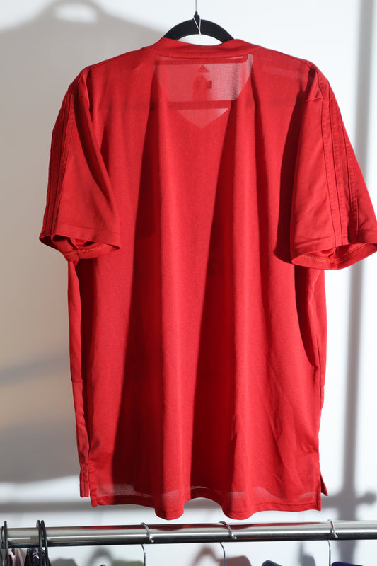 Wales 2018-19 Training